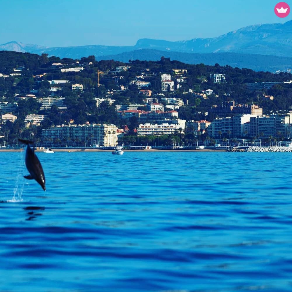 Rejs statkiem ze sternikiem w Cannes (Selva Marine)