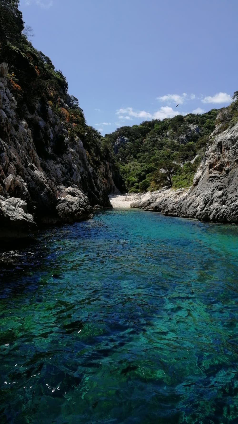 Cala Luna Daily Escape – Exclusive Gommonautica G65 Experience from Arbatax