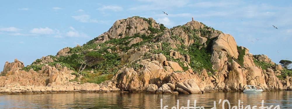 Cala Luna Daily Escape – Exclusive Gommonautica G65 Experience from Arbatax