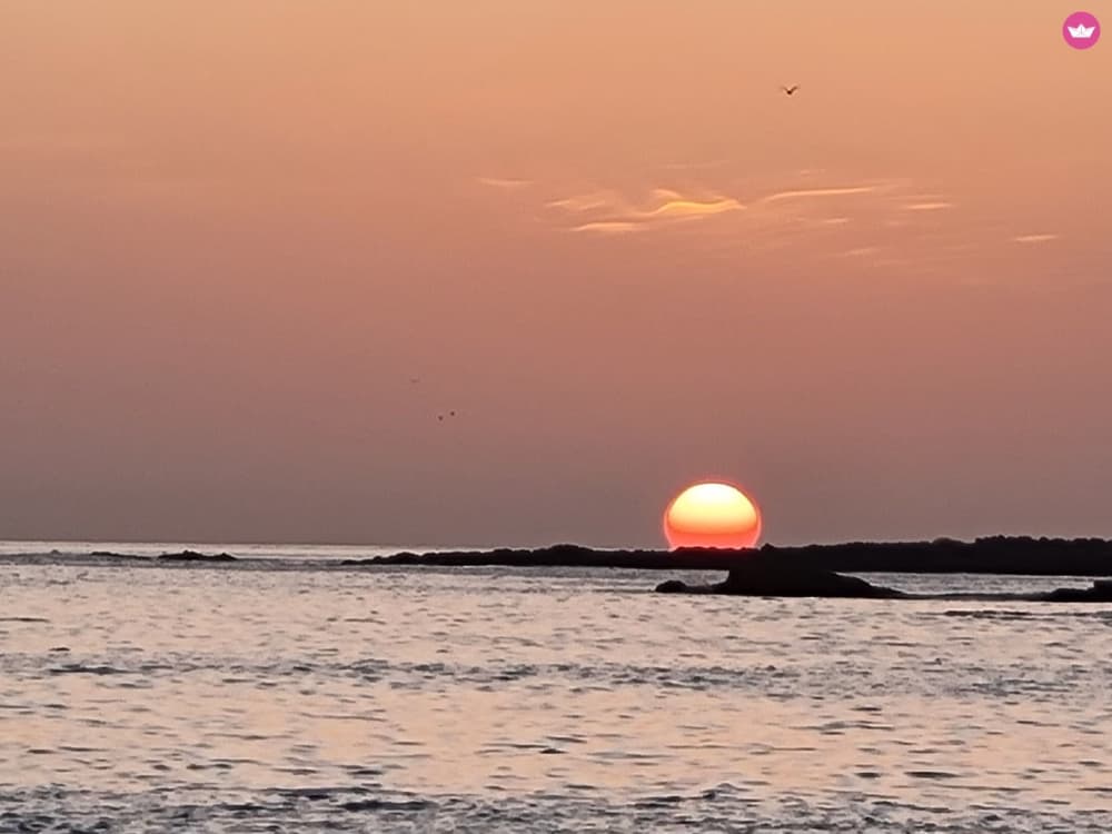 Exclusive tour to the island of Capraia