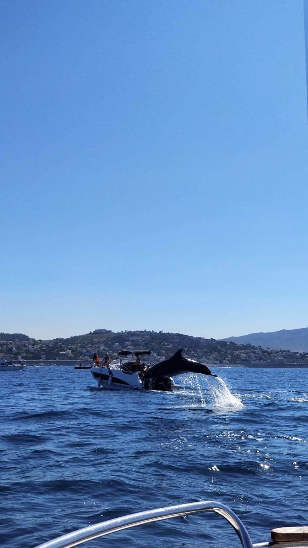 Scopri Marsiglia con un'escursione di mezza giornata in motoscafo.