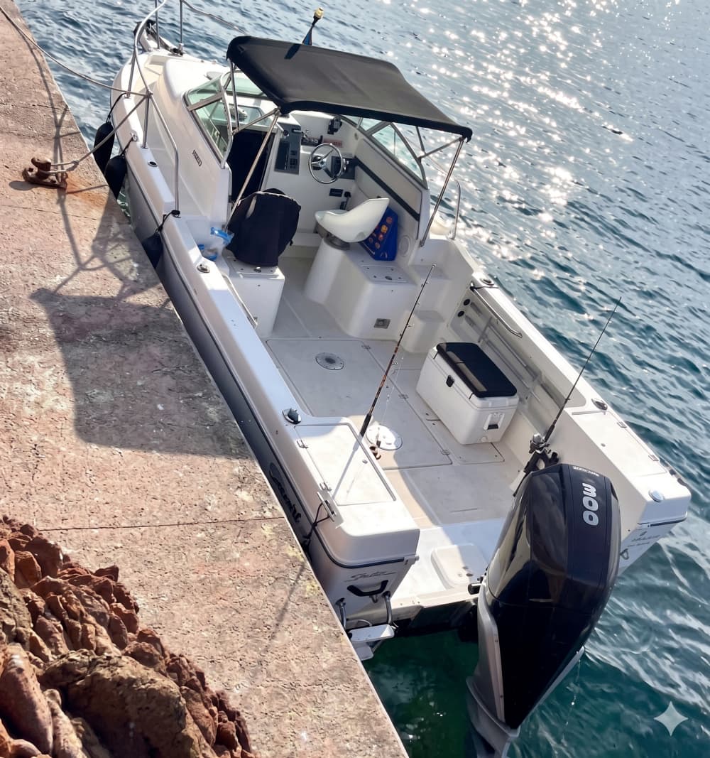 Discover Saint-Tropez aboard our Seaswirl striper 7.7
