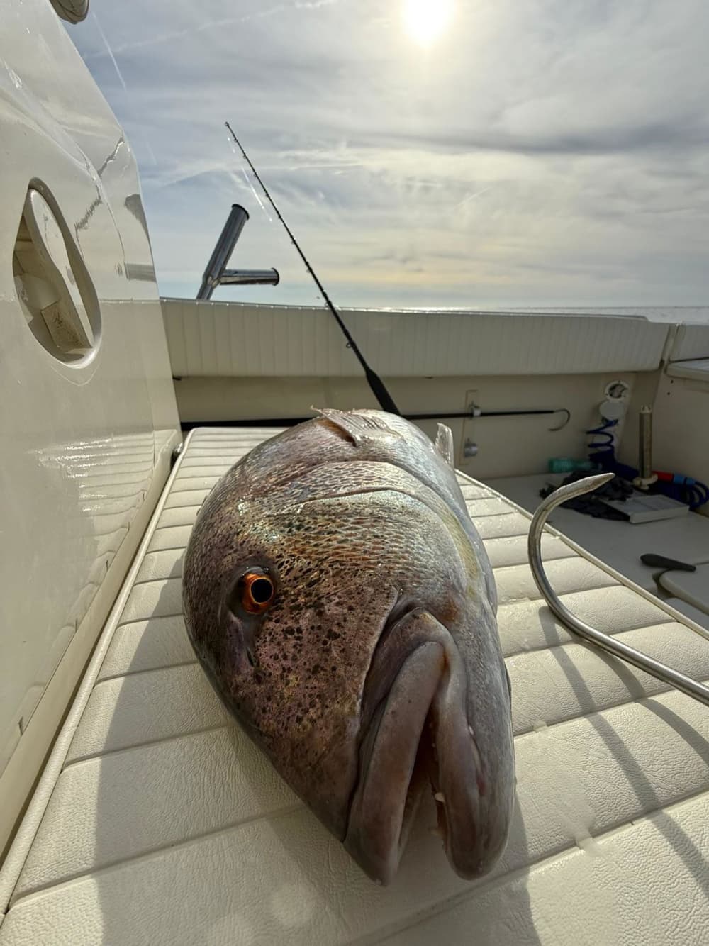 Luxury Fishing trip