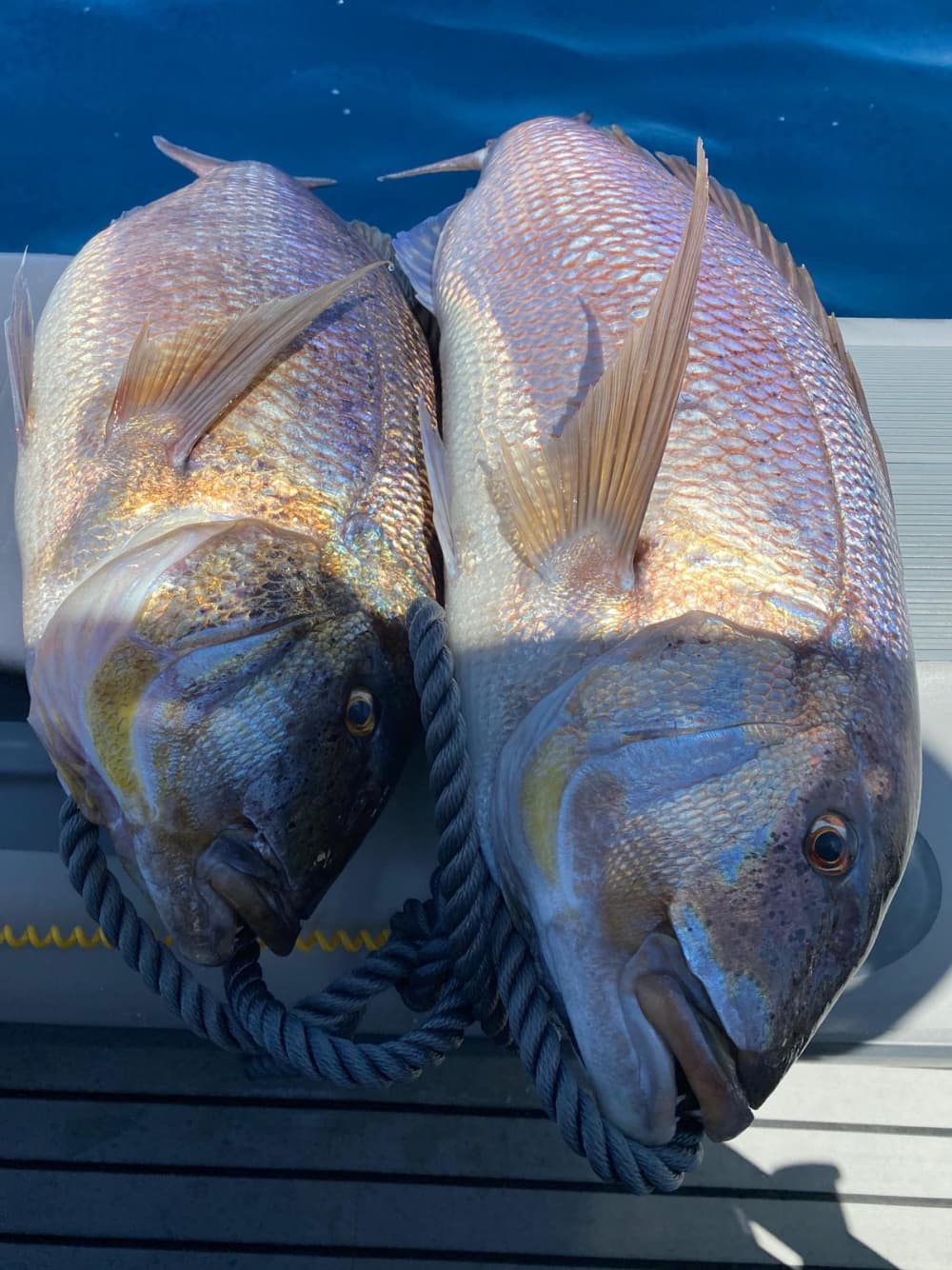 Exclusive Fishing Trip - 8h tour