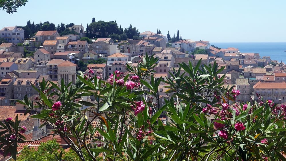 Esperienza in motoscafo | Tour di Bol, del Capo d'Oro e dell'isola di Hvar da Spalato