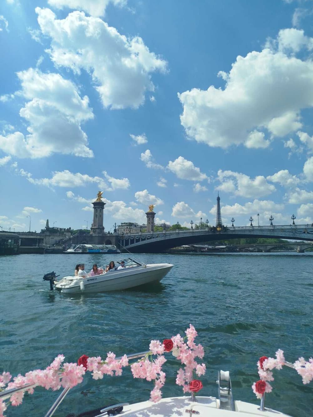 Private Cruise 1.5 hours – Stopover at the Botanical Garden