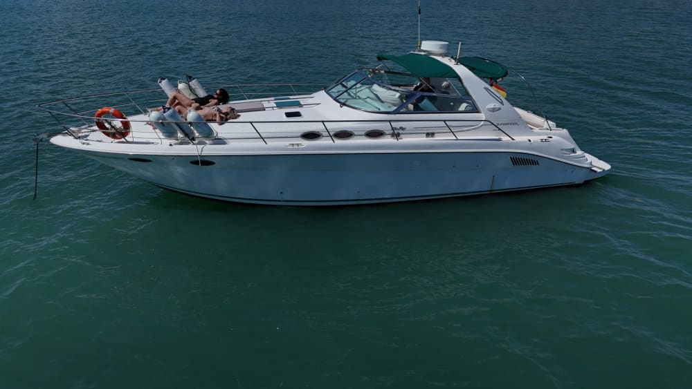 Découvrez les rivages d'Alcossebre : une excursion d'une journée complète à bord d'un bateau à moteur