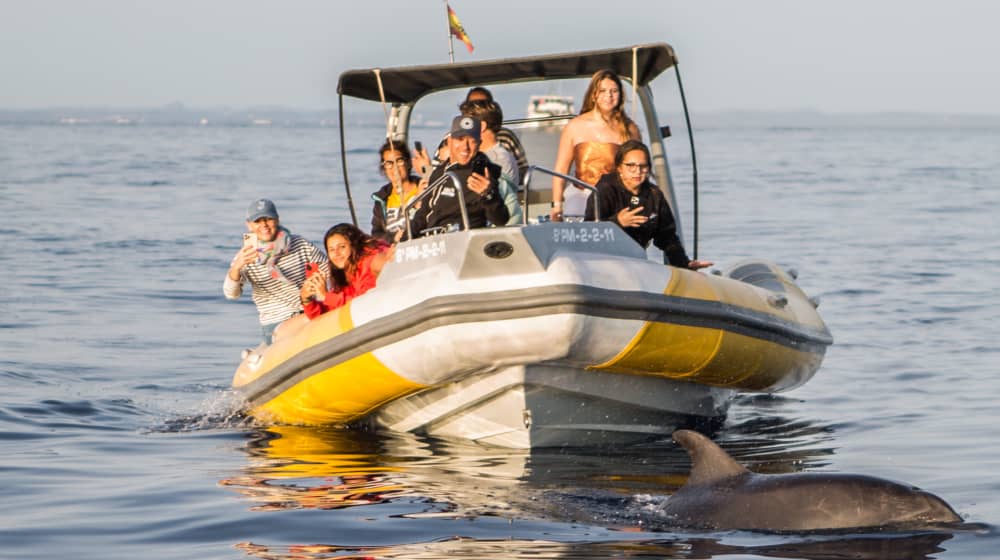 Tour Delfines