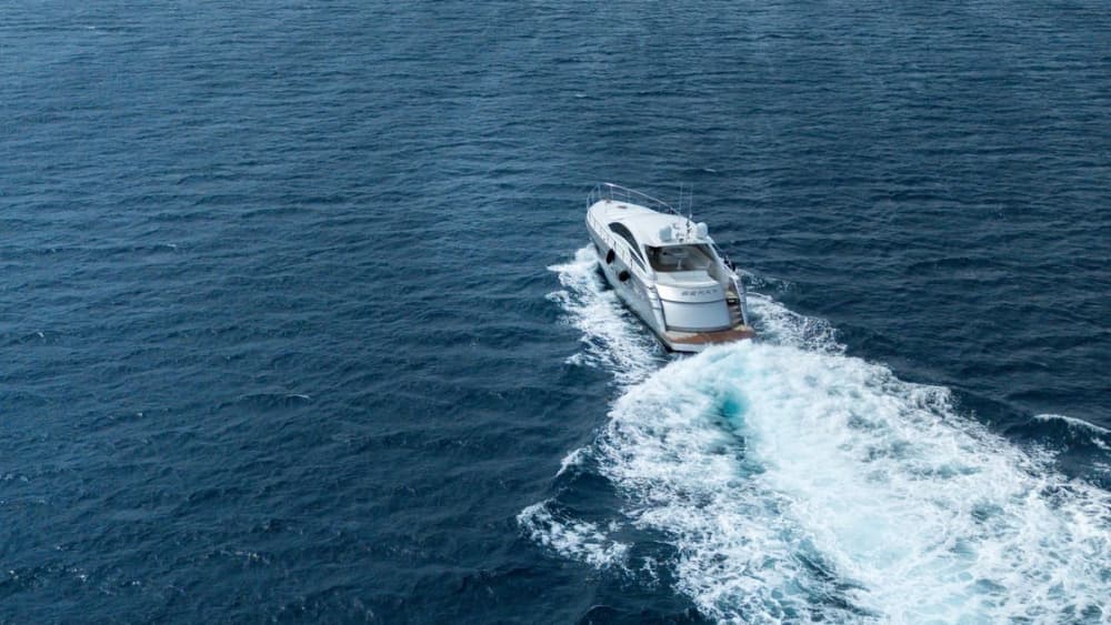 ASINARA & DOLFIJN ERVARING – PERSHING 58
