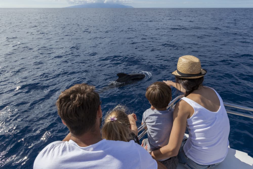 Private Tour durch die Bucht von Malaga, Stadt Malaga