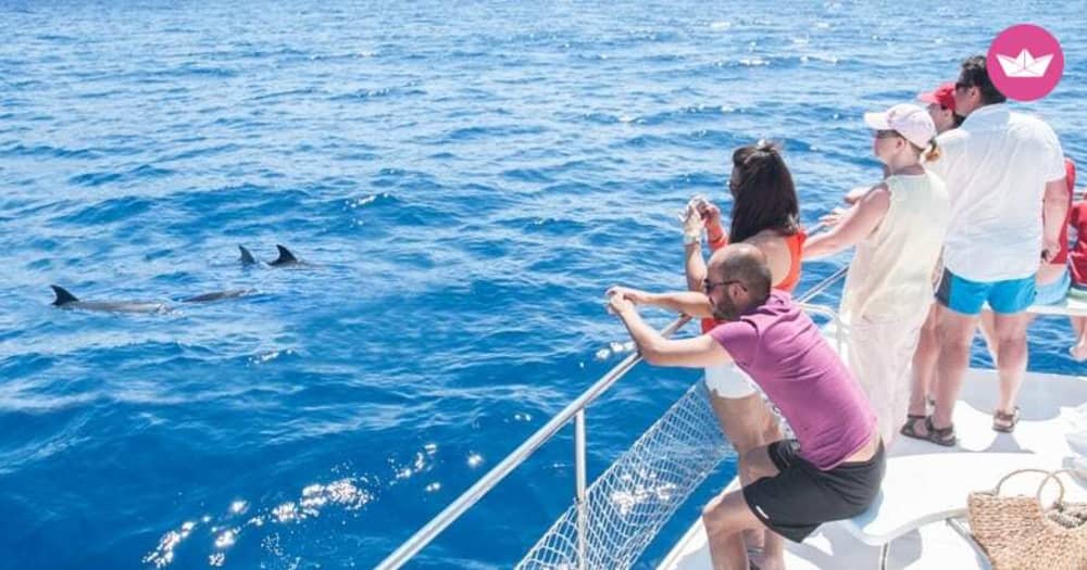 Private Tour durch die Bucht von Malaga, Stadt Malaga