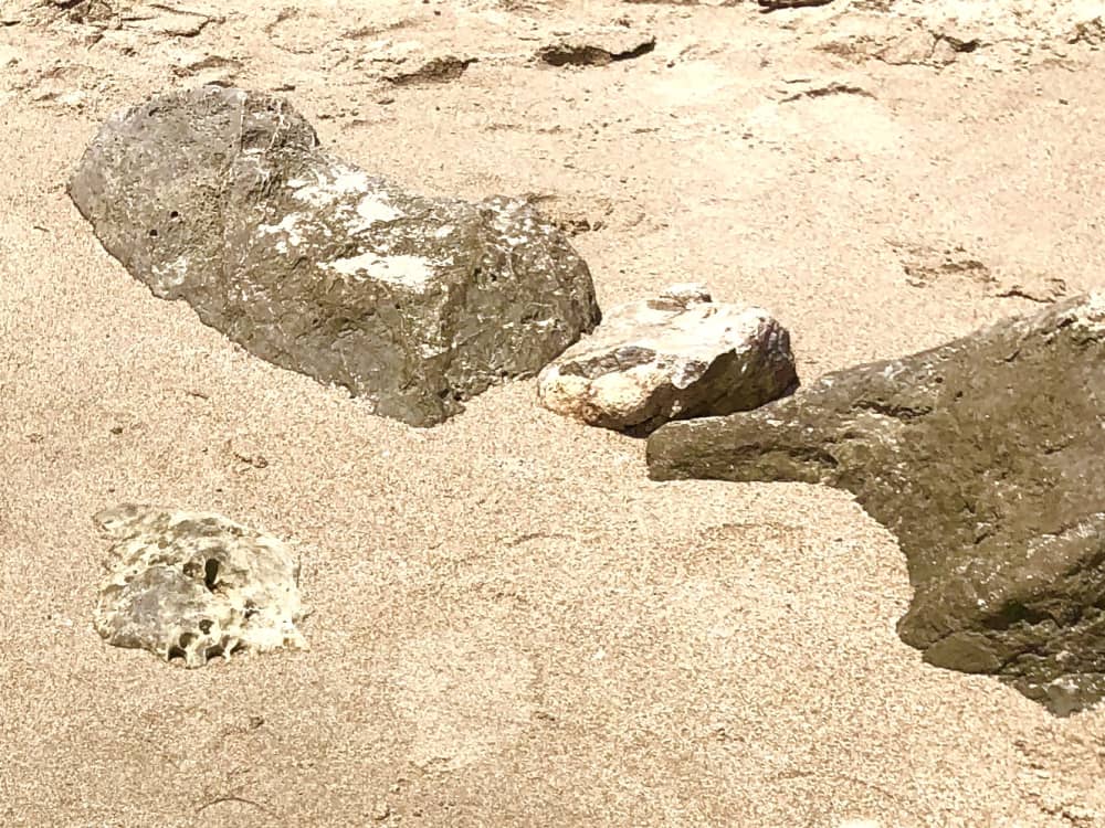 Скрытые сокровища: частный полуденный тур на Элафитские острова