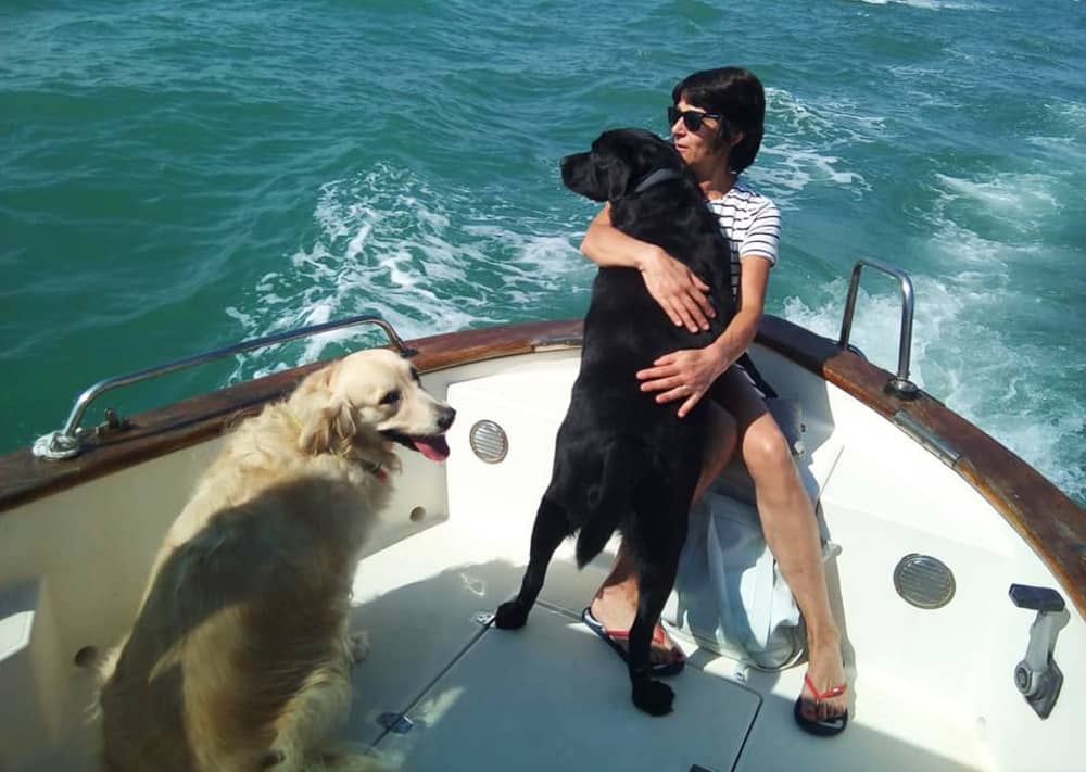 Ihr Tag in Venedig: Mieten Sie ein Motorboot für 6 Stunden Entdeckungstour