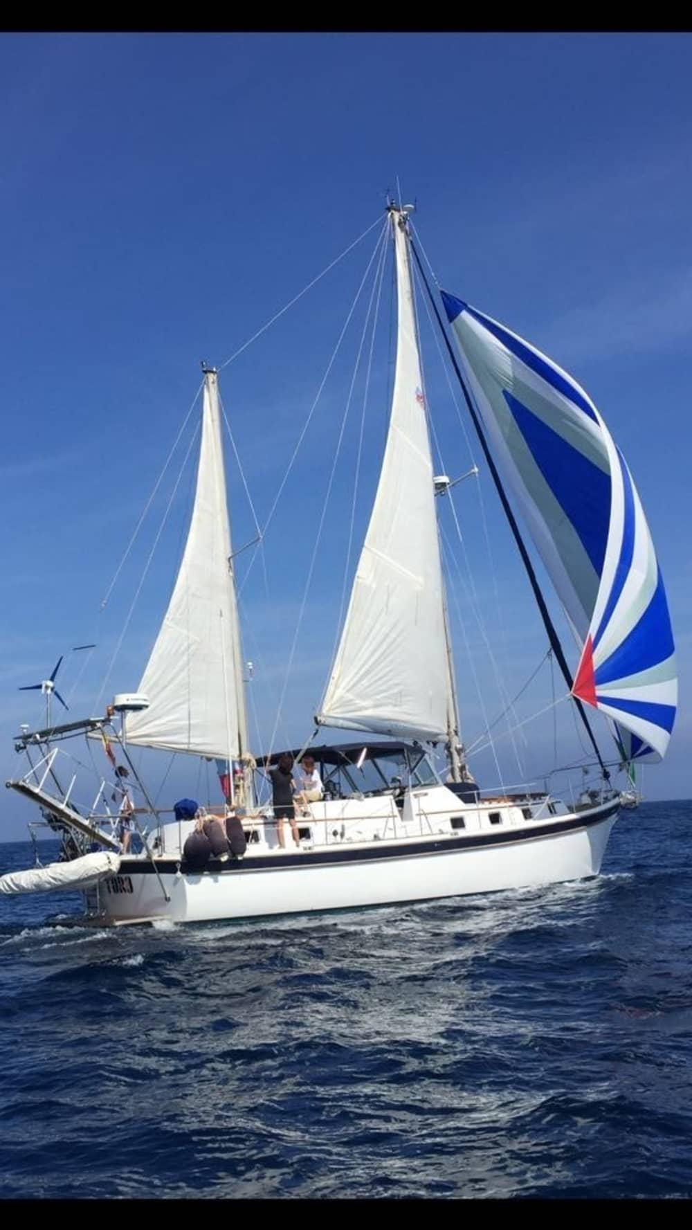 Vivi il sogno mediterraneo: una giornata intera alla scoperta di Estepona