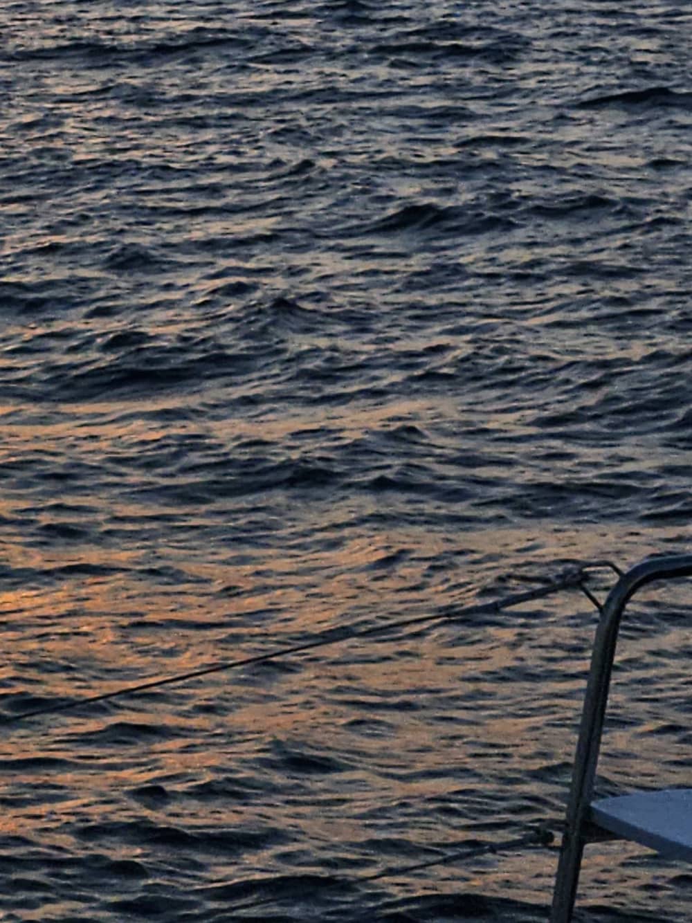 Solnedgångens gyllene timme på katamaran med utsikt över Marbella