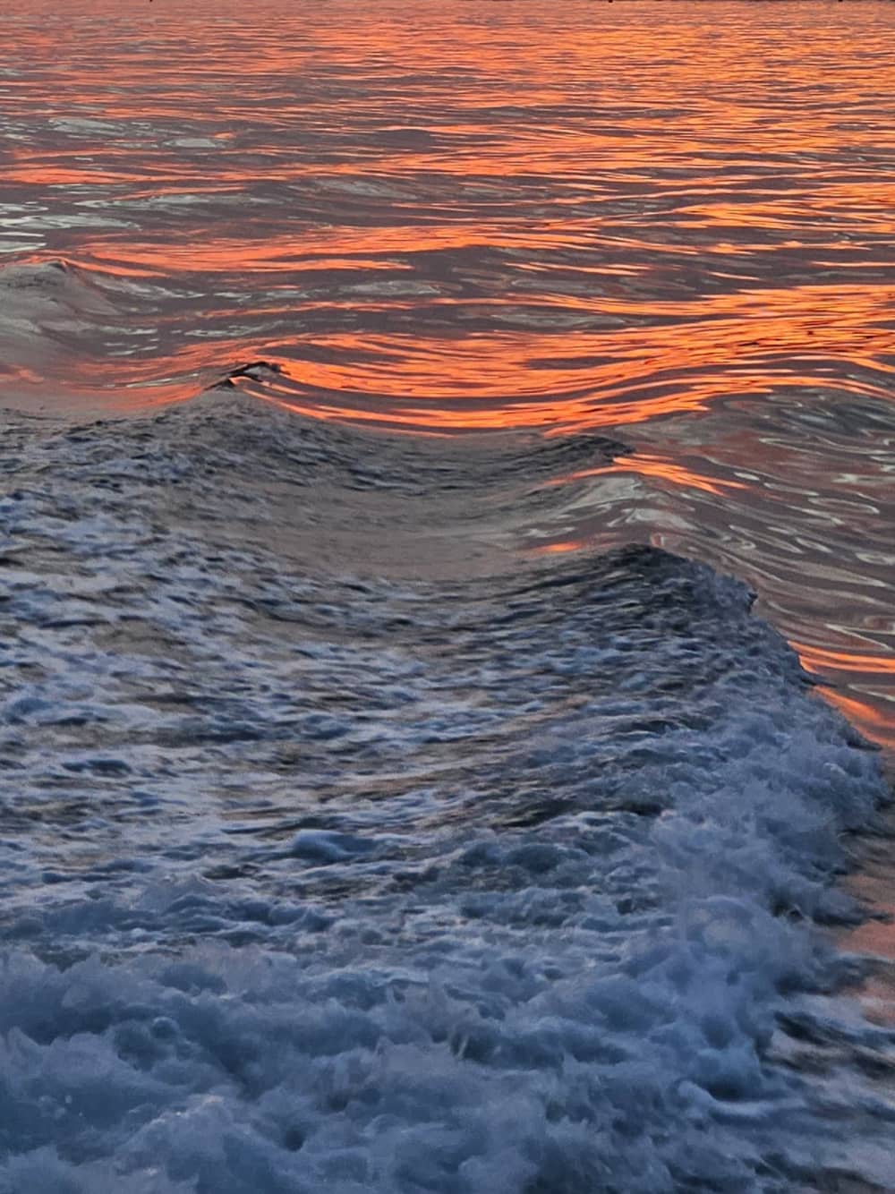 Solnedgångens gyllene timme på katamaran med utsikt över Marbella