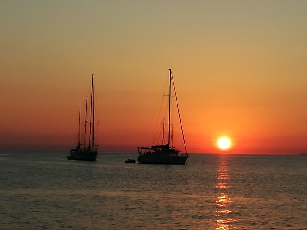 Full-day sailing experience in Palermo