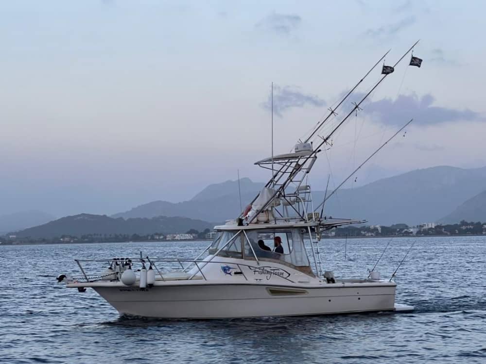 Angeltag mit einem Profi - 7 Stunden