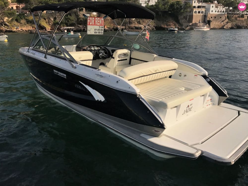 Een halve dag kustexcursie op Mallorca vanuit Puerto Andratx