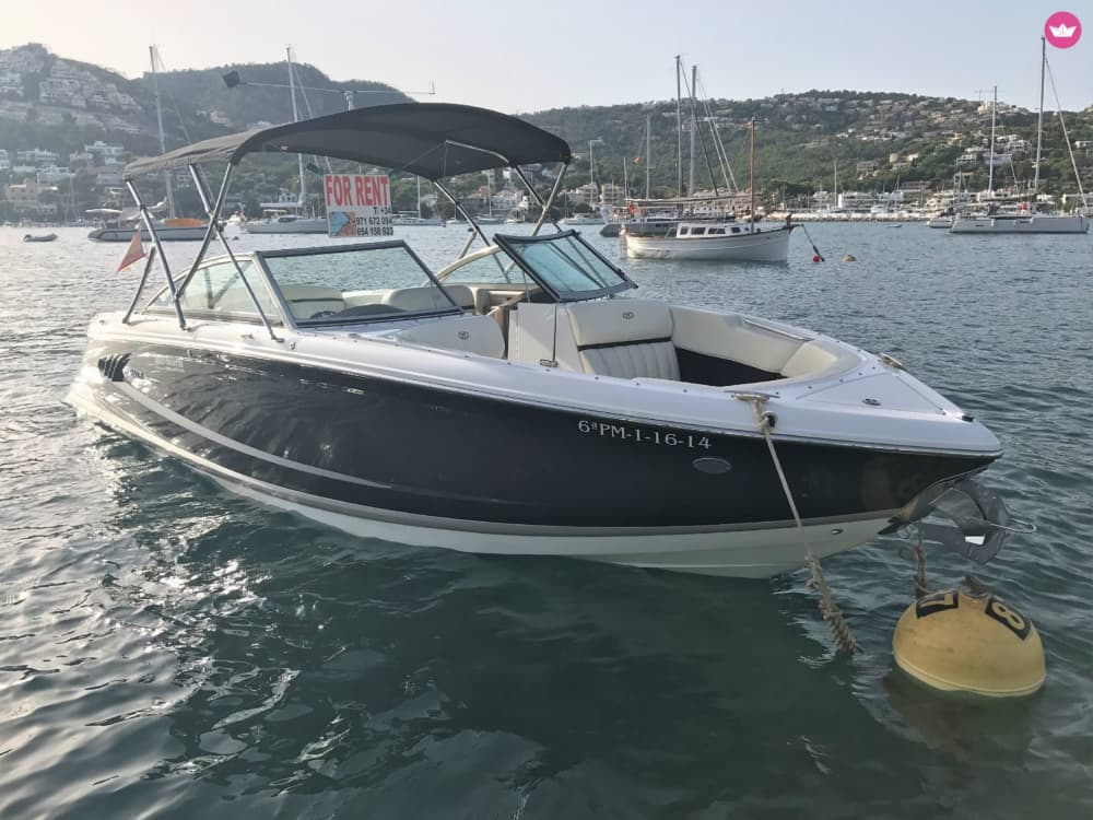 Een halve dag kustexcursie op Mallorca vanuit Puerto Andratx