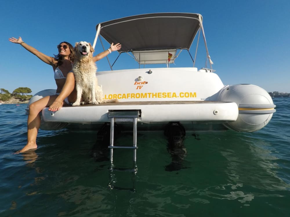Njut av 8 timmar på en motorbåt i Port d'Andratx