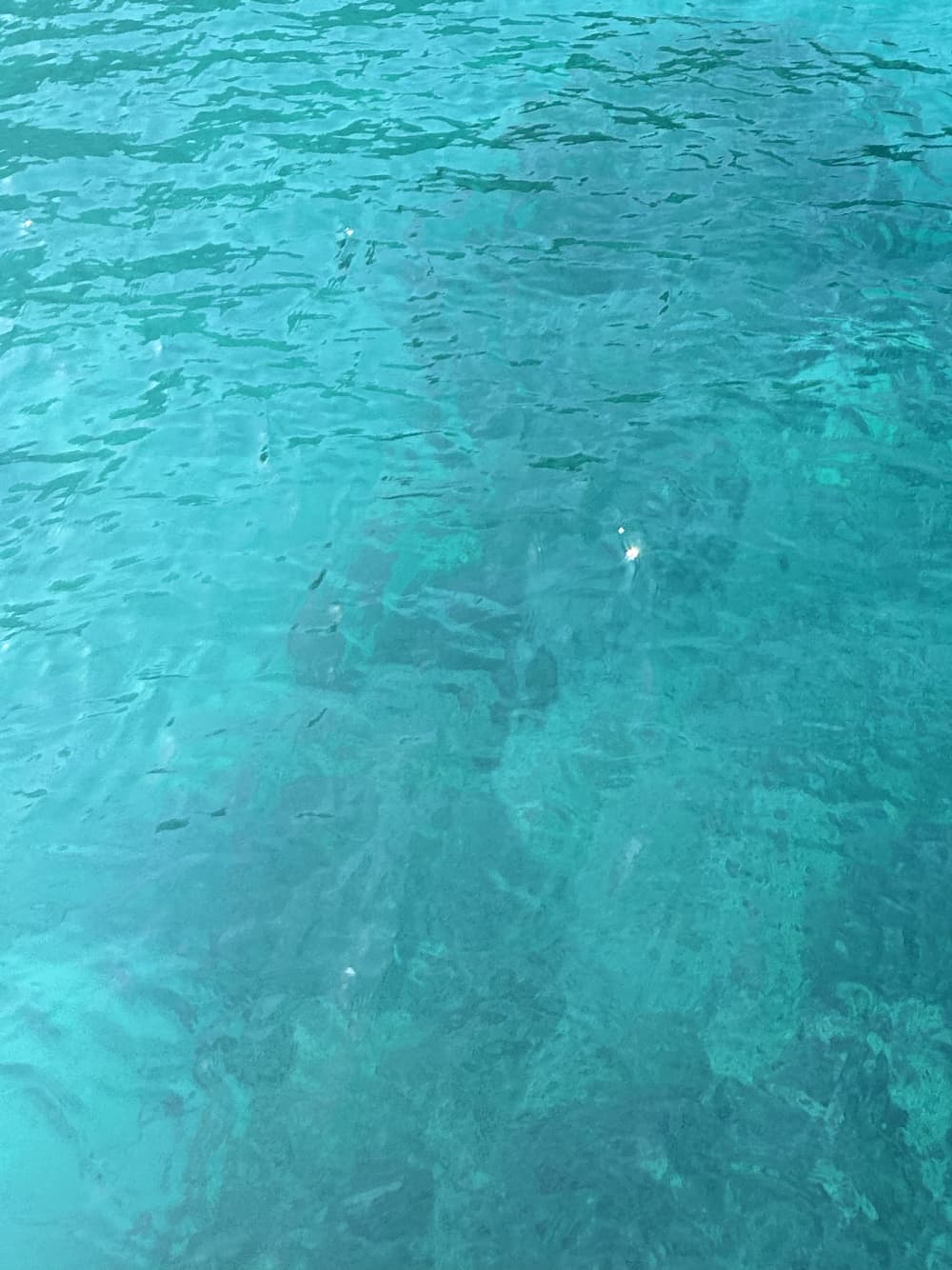 10 ore in paradiso: esplora il nord di Minorca in barca