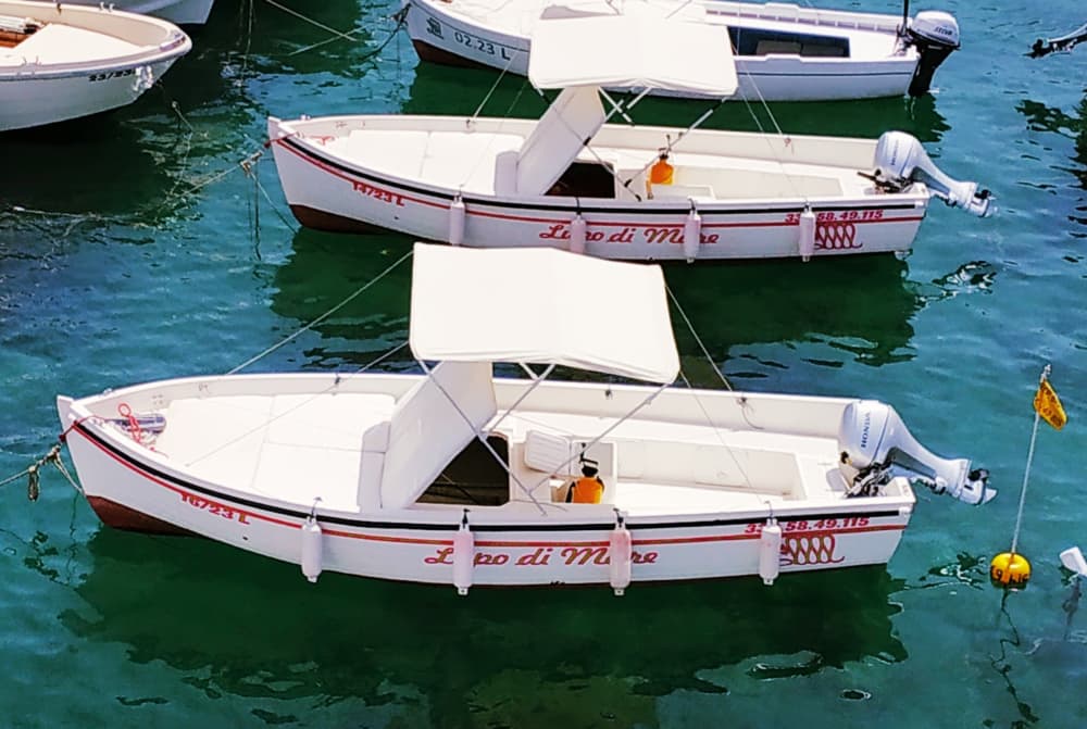 Aproveite o sol em um passeio de barco de 9 horas em Ponza.