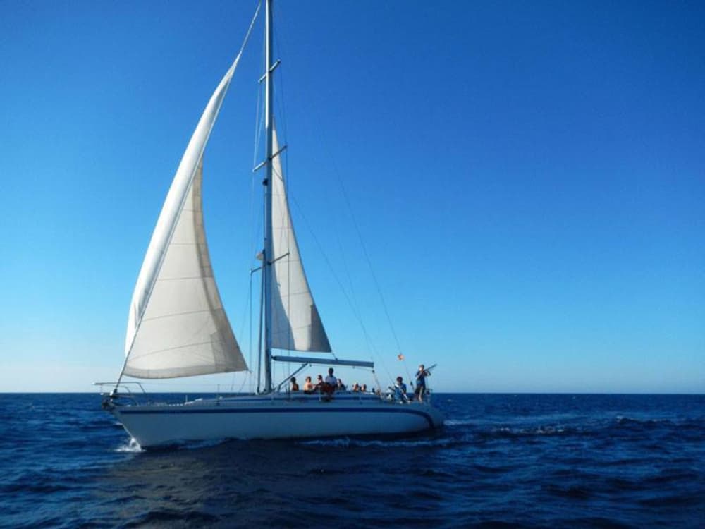 Verken Fornells op Menorca en geniet van een hele dag zeilen op een zeilboot.