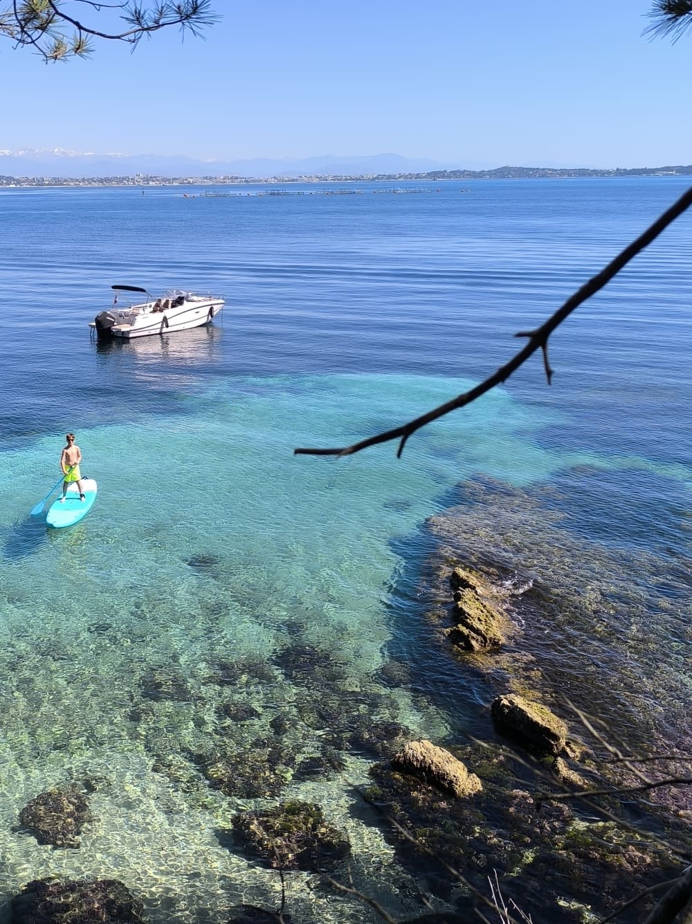 🏝️Relaxing full or half day on a private boat on the French Riviera with a skipper. Enjoy the sea, I'll take care of the rest!