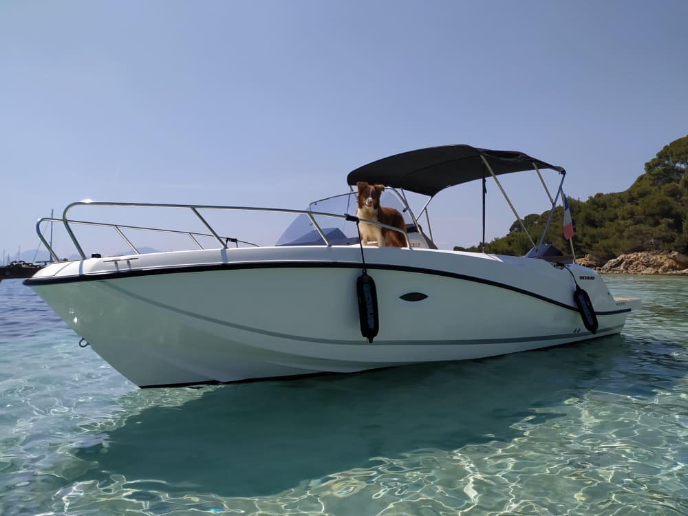 🏝️Ontspan een hele of halve dag op een privéboot aan de Franse Rivièra met een schipper. Geniet van de zee, ik zorg voor de rest!
