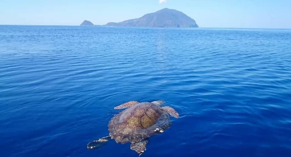 Båtutflykt till de Eoliska öarna