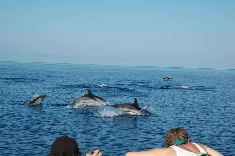 Båtutflykt till de Eoliska öarna