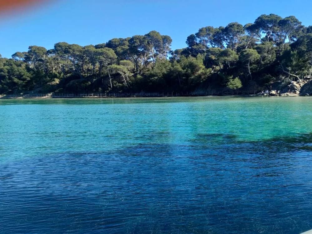 Festeggia in mare: crociera esclusiva per i tuoi eventi