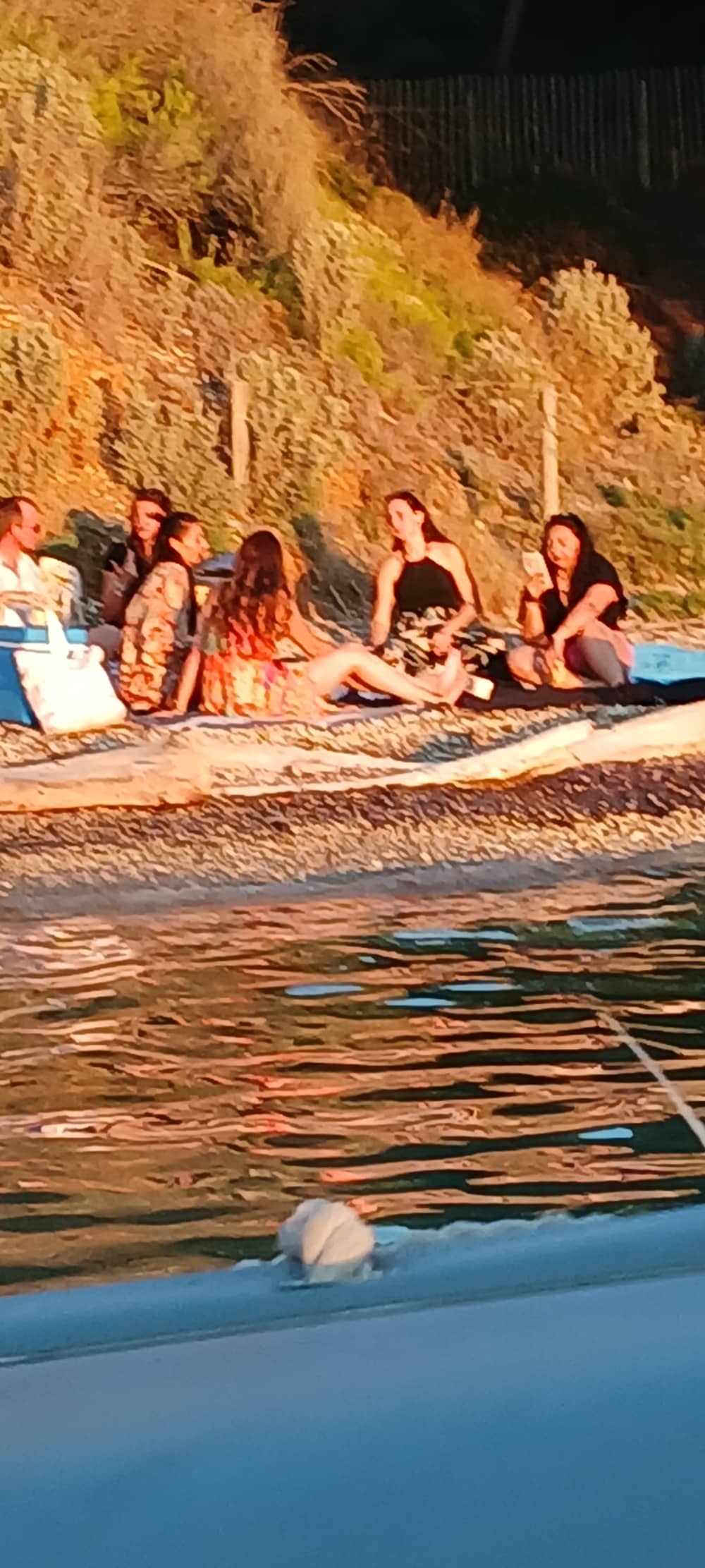 Explora las joyas ocultas de la isla de Porquerolles durante un día. "Se pueden añadir más pasajeros a bordo, previa solicitud."