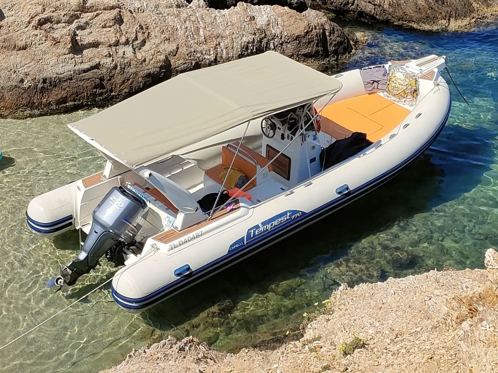 Explore the hidden gems of Porquerolles Island for a day. "More passengers possible on board, upon request."
