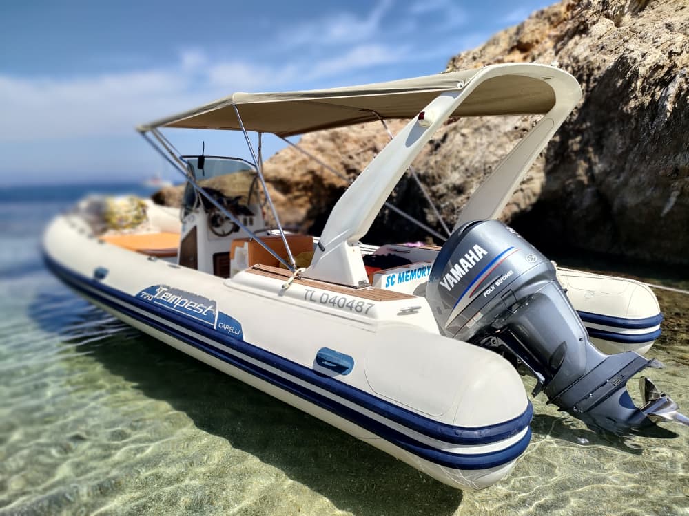 Explore the hidden gems of Porquerolles Island for a day. "More passengers possible on board, upon request."