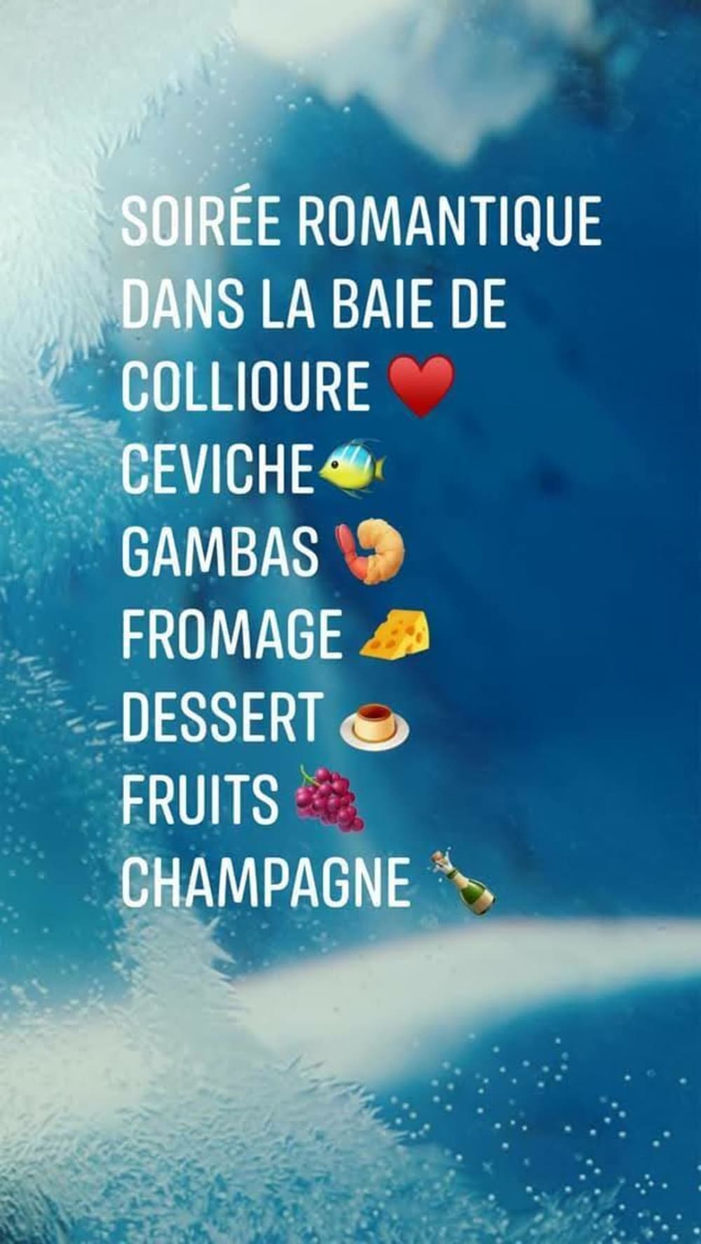 Profitez d'une journée en mer à Port-Vendres à bord d'un catamaran.