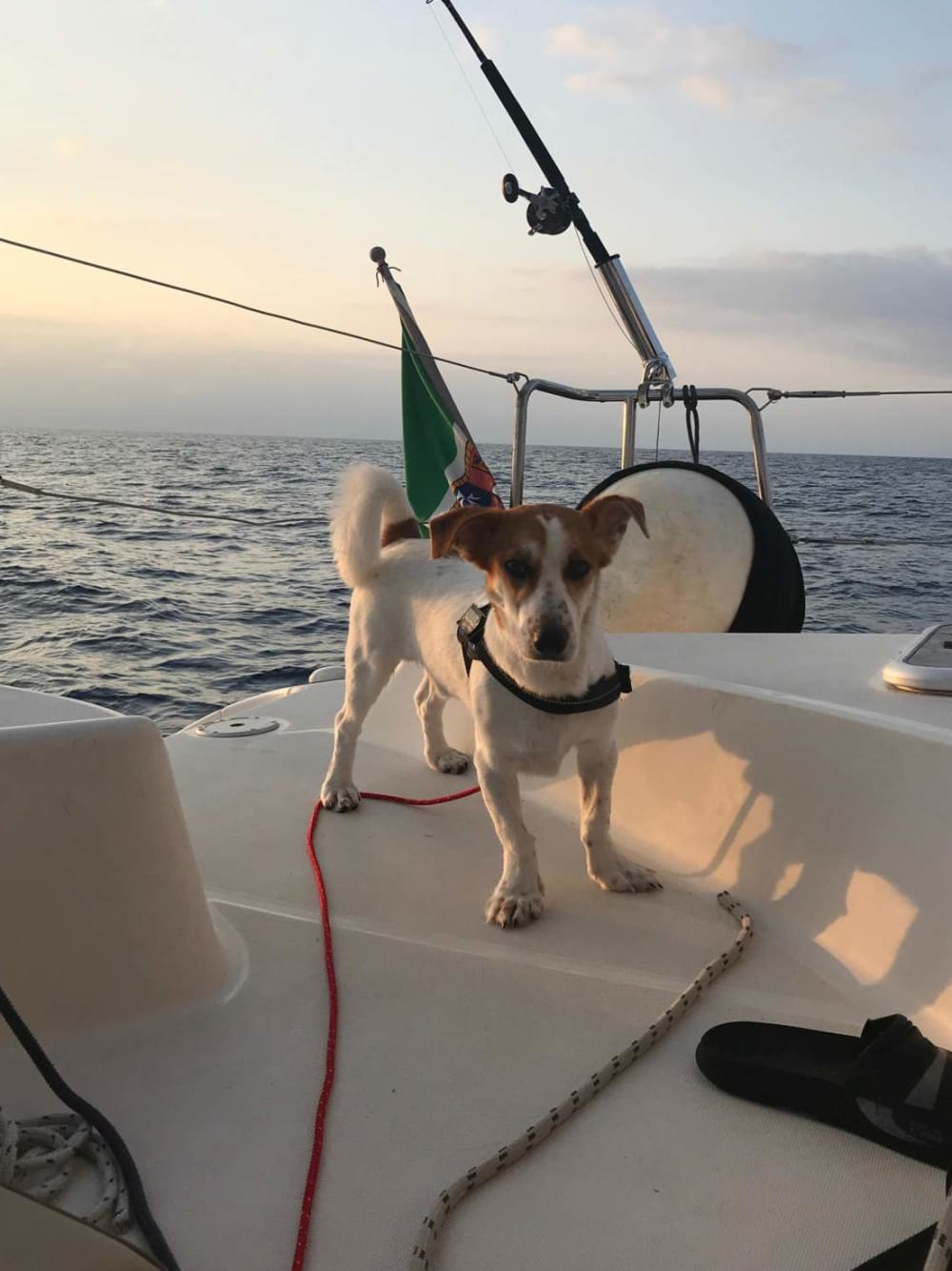 Rejs katamaranem na Wyspy Liparyjskie z Milazzo