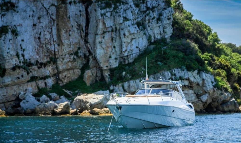 От Канн до Сен-Тропе: путешествие между дикой природой и вечным гламуром