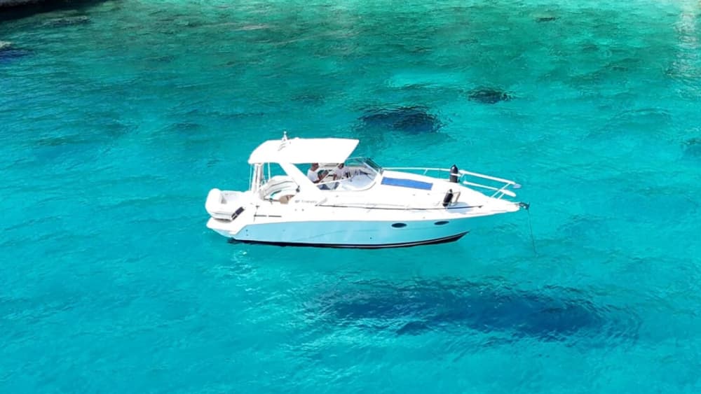 Une journée autour de Céphalonie : Profitez de 8 heures de découverte en bateau à moteur