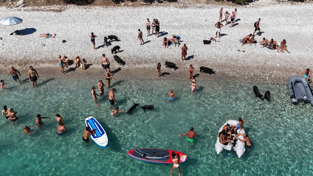 Une journée autour de Céphalonie : Profitez de 8 heures de découverte en bateau à moteur