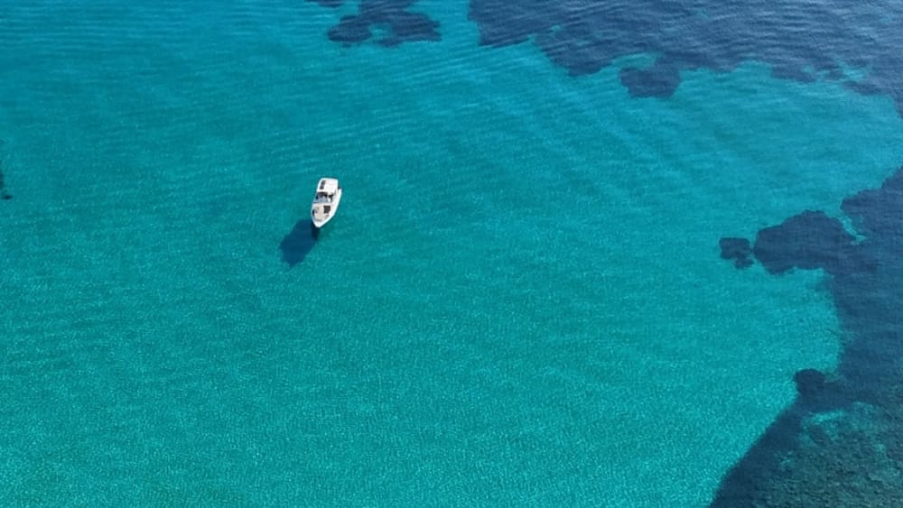 Une journée autour de Céphalonie : Profitez de 8 heures de découverte en bateau à moteur