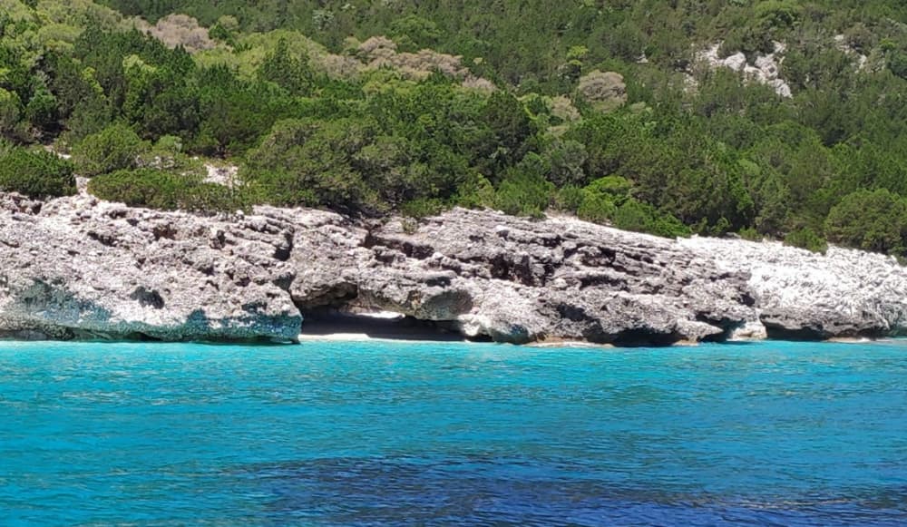 Une journée autour de Céphalonie : Profitez de 8 heures de découverte en bateau à moteur