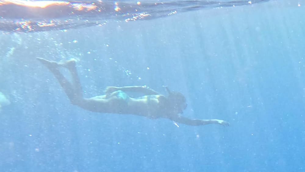 Magical morning encountering dolphins and snorkeling – Mauritius