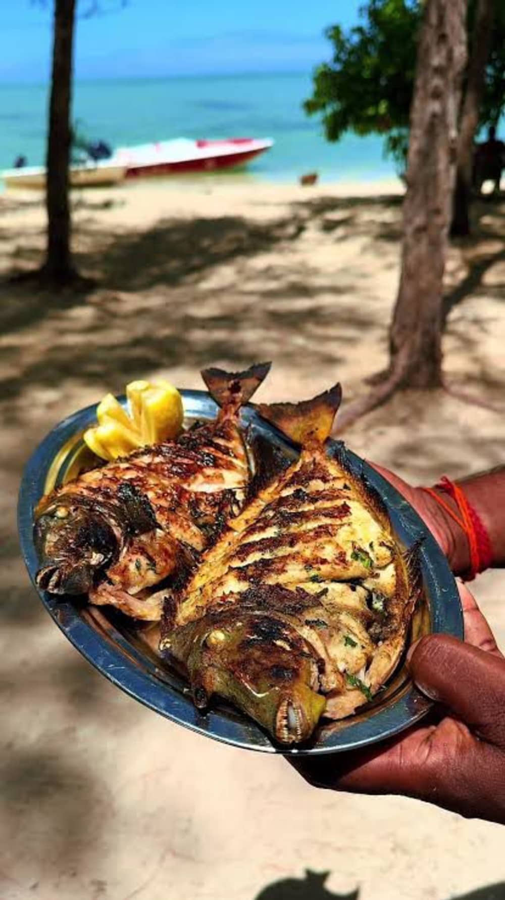 Exclusive day of dolphin watching, snorkeling & BBQ on Îlot Bénitiers – Mauritius