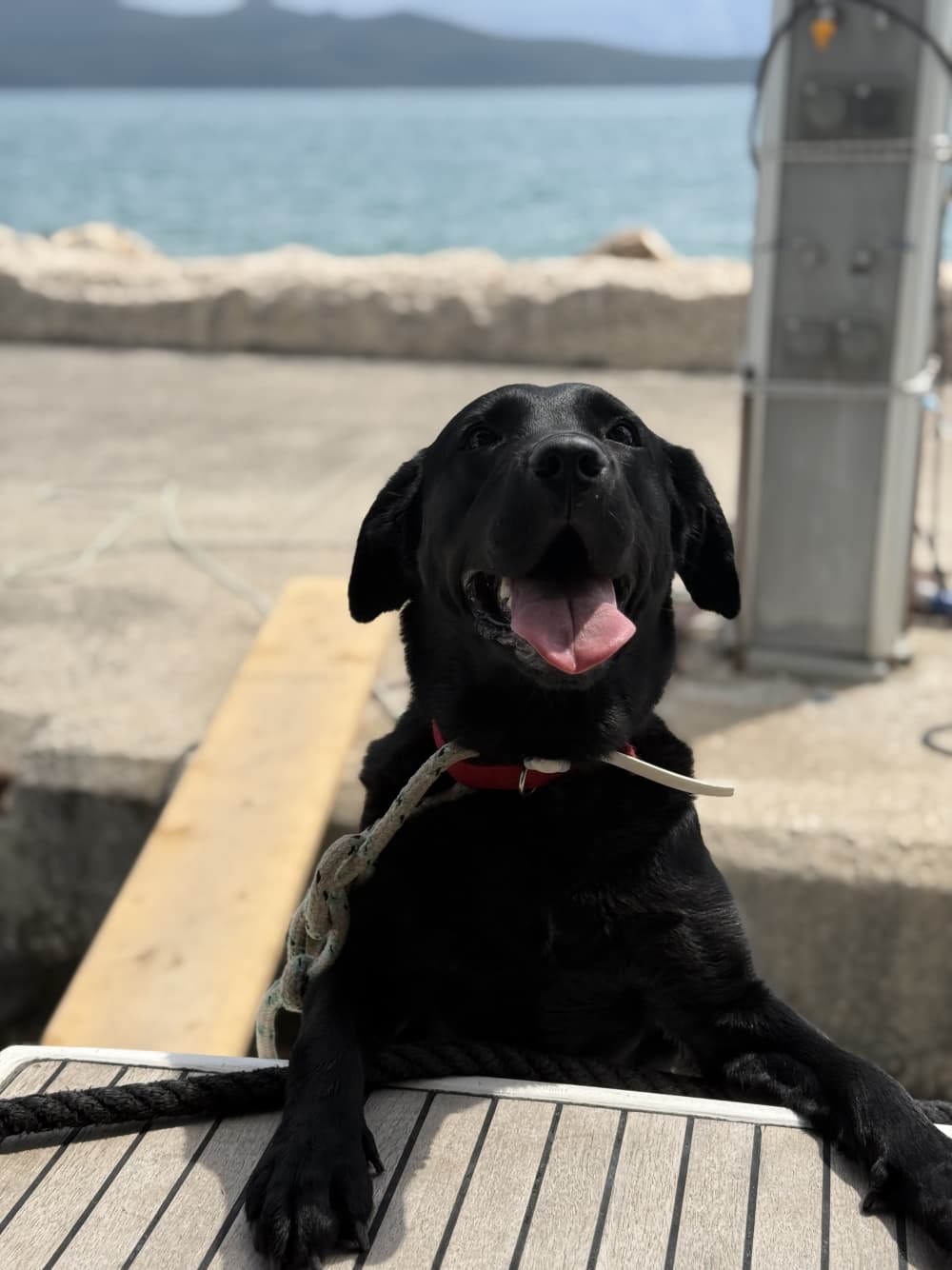 Excursion quotidienne en voilier vers l'île d'Ithaca