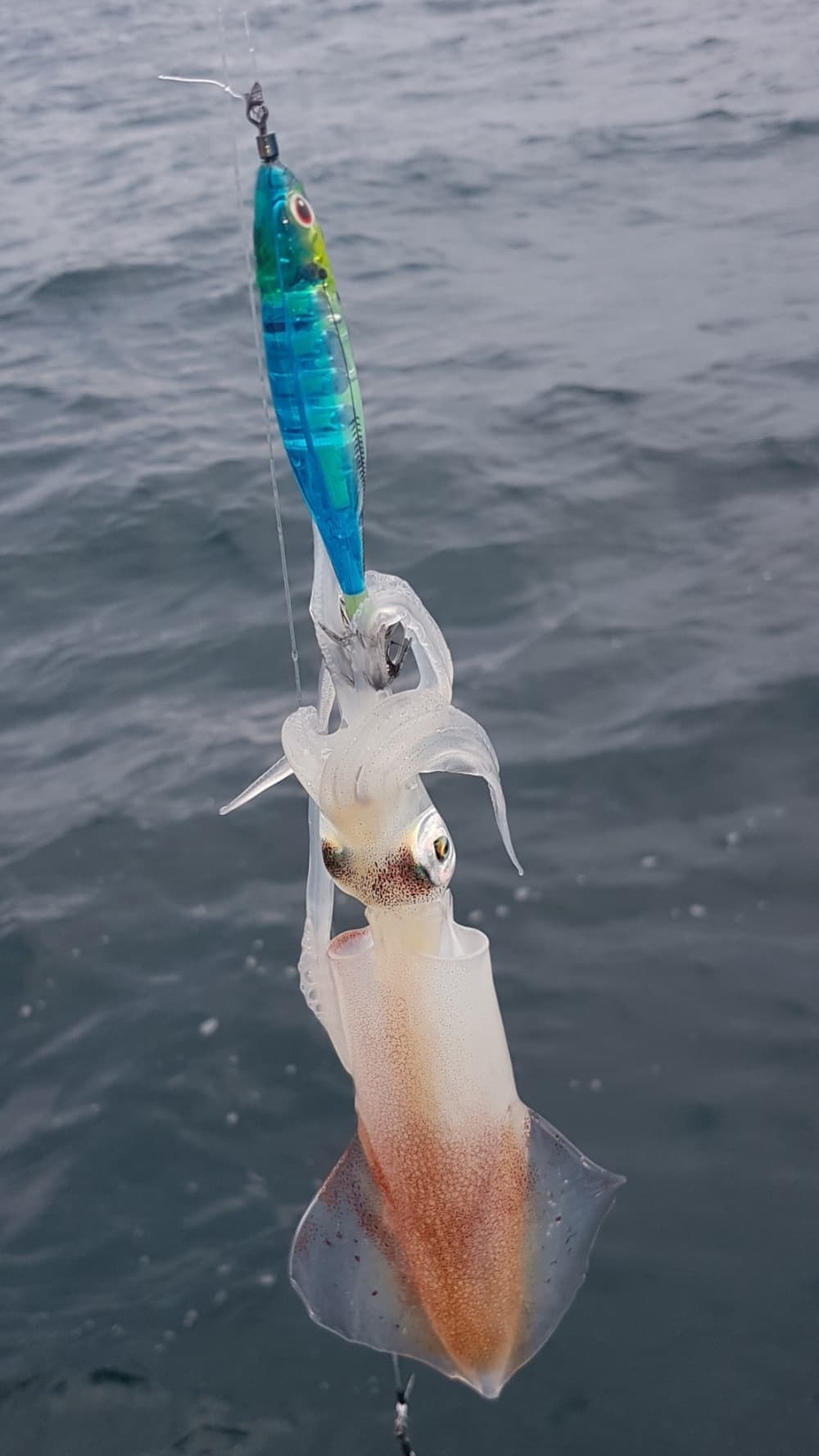 La tua giornata a Dieppe: noleggia un motoscafo per una giornata intera alla scoperta della città.