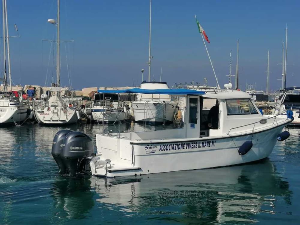 Esplora Taranto in barca: una giornata intera sull'acqua a bordo di un motoscafo.