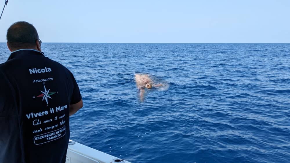Esplora Taranto in barca: una giornata intera sull'acqua a bordo di un motoscafo.