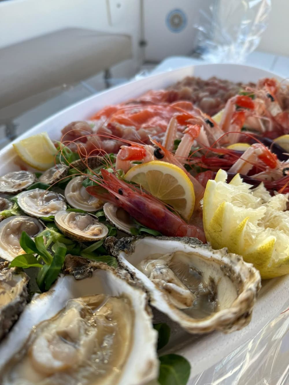 Esplora Taranto in barca: una giornata intera sull'acqua a bordo di un motoscafo.
